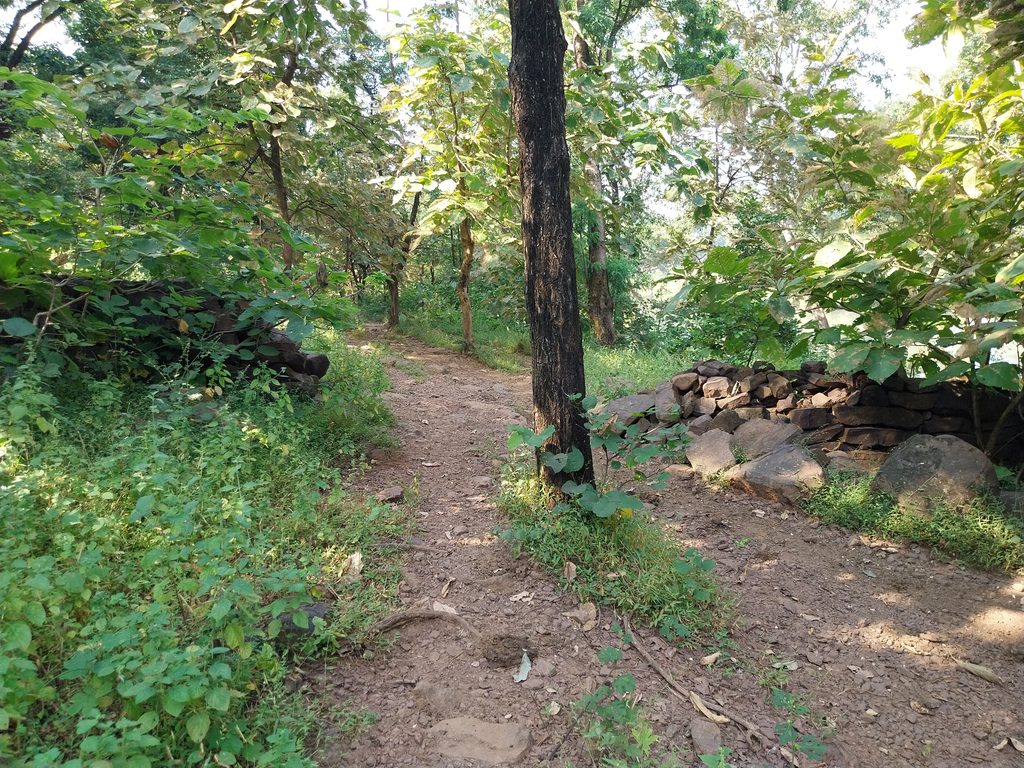 1005852797-1024x768.jpg